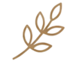 curated hospitality icon