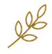 design icon